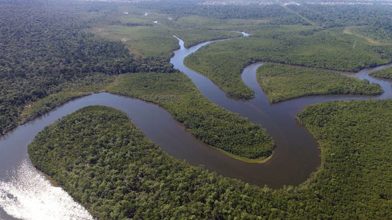 Καταργήθηκε η απαγόρευση καλλιέργειας ζαχαροκάλαμου σε περιοχές του Αμαζονίου