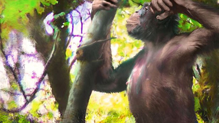 Ανακαλύφθηκε  το απολίθωμα του πιθήκου που πρώτος  περπάτησε όρθιος