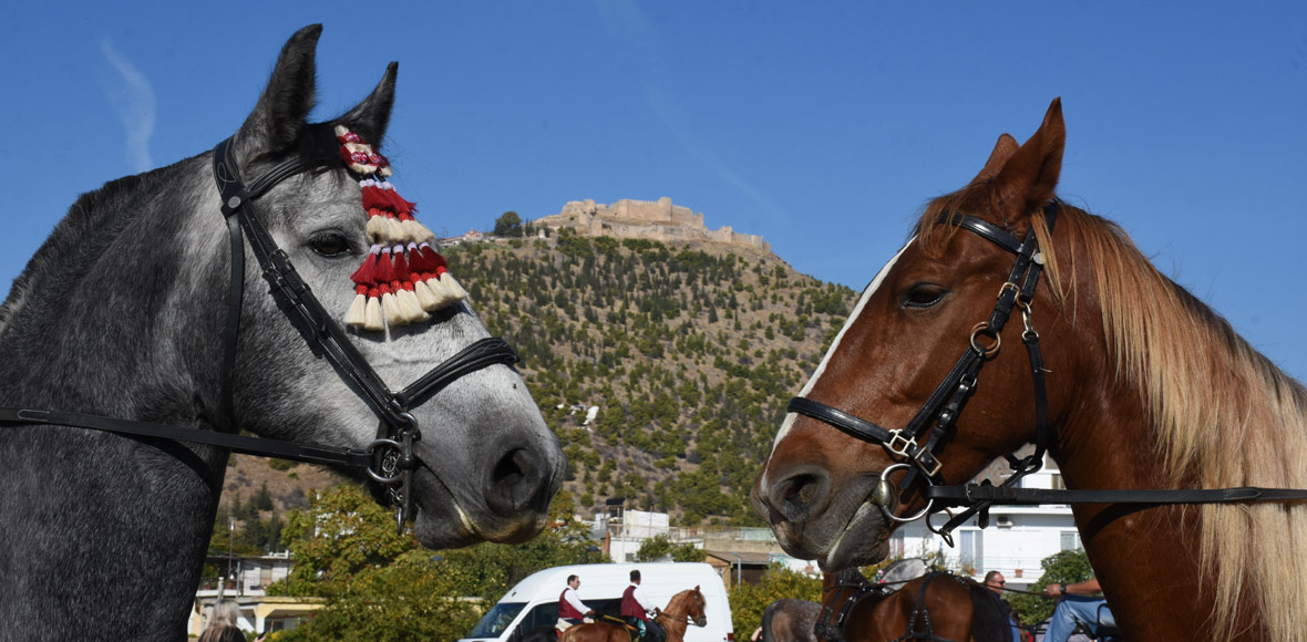 Η συνάντηση των ίππων