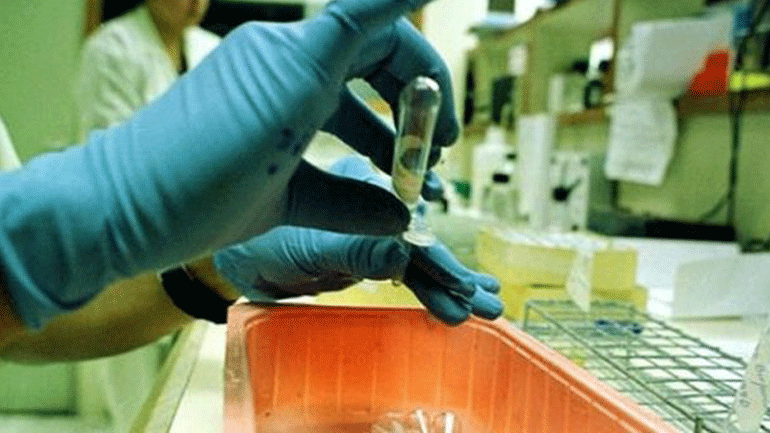 Πρώτο κρούσμα μετάδοσης του δάγκειου πυρετού μέσω της σεξουαλικής επαφής μεταξύ δύο ανδρών