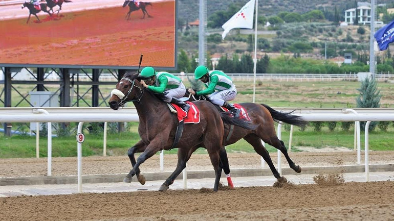 Markopoulo Park: Επικράτησαν τα φαβορί και μοίρασαν κέρδη σε 130 νικητές στο ΣΚΟΡ 6