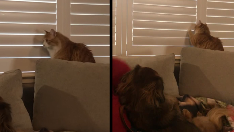 Θα κάνω ό,τι θέλω εγώ!