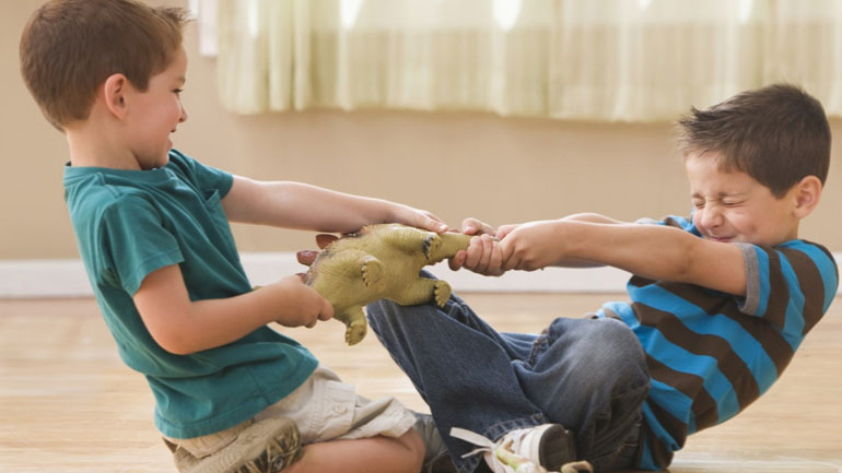 Για ποιους λόγους τσακώνονται τα αδέλφια