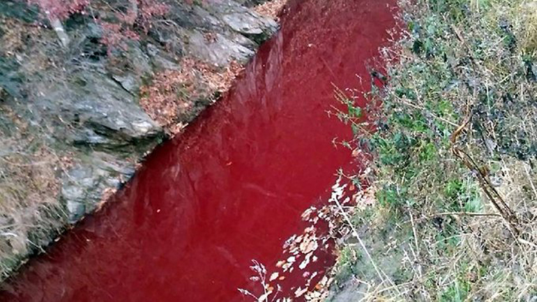 Σεούλ: Ποταμός βάφτηκε κόκκινος – Ανυπόφορη μυρωδιά