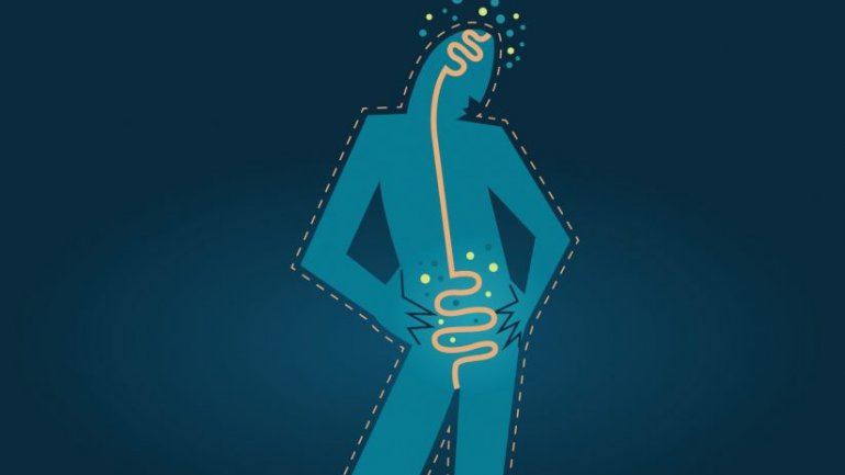 Όχι μόνο το στομάχι αλλά και το έντερο μας λέει πότε χορτάσαμε