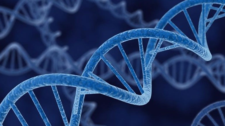 Έρευνα: Σπάνια γονίδια προδιαθέτουν για αιφνίδιο καρδιακό θάνατο