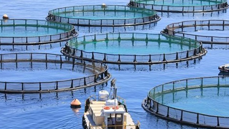 Επιπλέον 8 εκατομμύρια ευρώ για επενδύσεις στην υδατοκαλλιέργεια