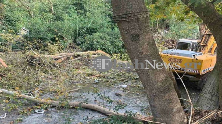 Χανιά: 67χρονος έχασε τη ζωή του από πτώση δέντρου