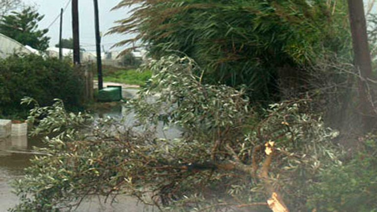 Πτώση δέντρων  και καταστροφές στο οδικό δίκτυο από την κακοκαιρία στη Ζάκυνθο