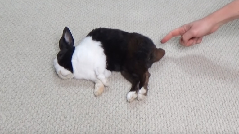 Ημιαυτόματο πιστόλι 