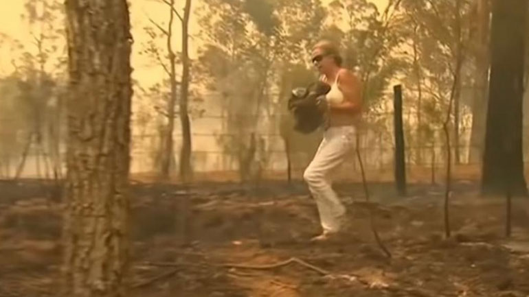 Αυστραλία: Περισσότερα από 600.000 ευρώ συγκεντρώθηκαν για τα κοάλα που επλήγησαν από τις φωτιές