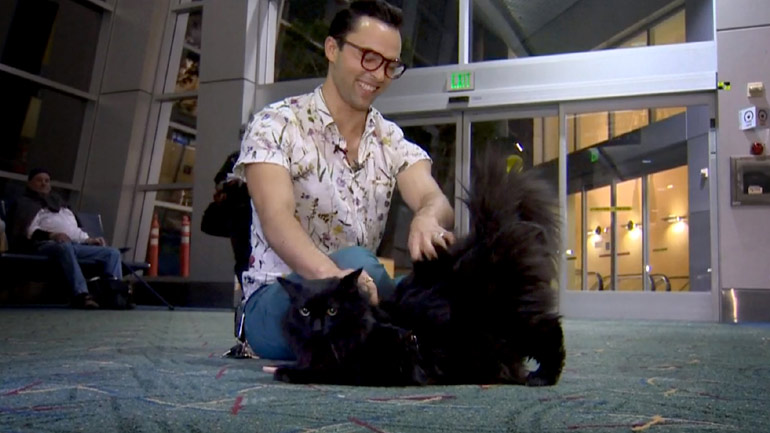 Βρέθηκε αγνοούμενος γάτος μετά από πέντε χρόνια, 1.900 χλμ μακριά από το σπίτι του ιδιοκτήτη του