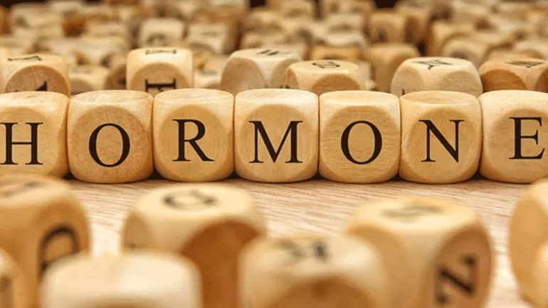 Ποια είναι η λειτουργία των ορμονών του φύλου;