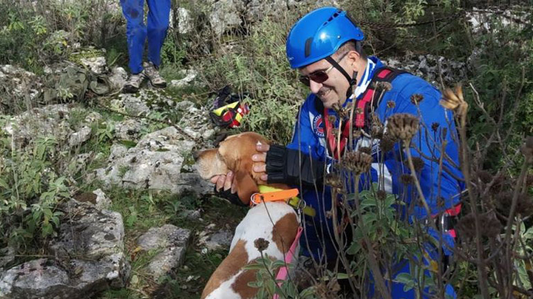 Πρέβεζα: Απεγκλώβισαν σκύλο που έπεσε σε βάραθρο βάθους 20 μέτρων