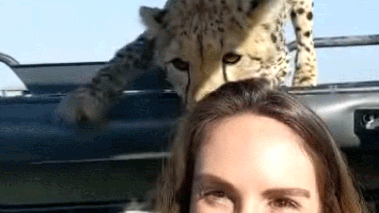 Τσιτάχ ανέβηκε σε τζιπ και άρχισε να γλύφει την επιβάτη