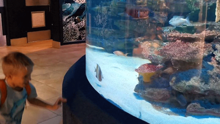 Αγόρι παίζει κυνηγητό με τροπικό ψάρι