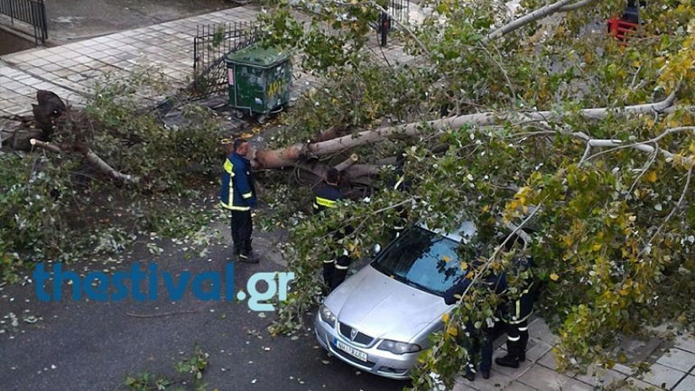 Πτώσεις δέντρων εξαιτίας των δυνατών ανέμων – Κλειστά τα σχολεία σε Πιερία και Αριστοτέλη Χαλκιδικής