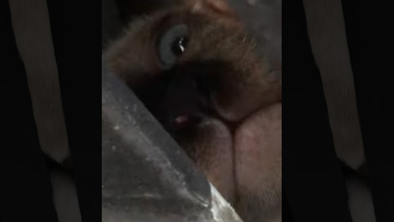 Big brother is watching you