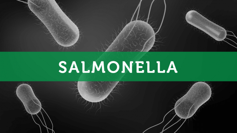 Η φύση της σαλμονέλας αλλάζει – και γίνεται πιο άσχημη