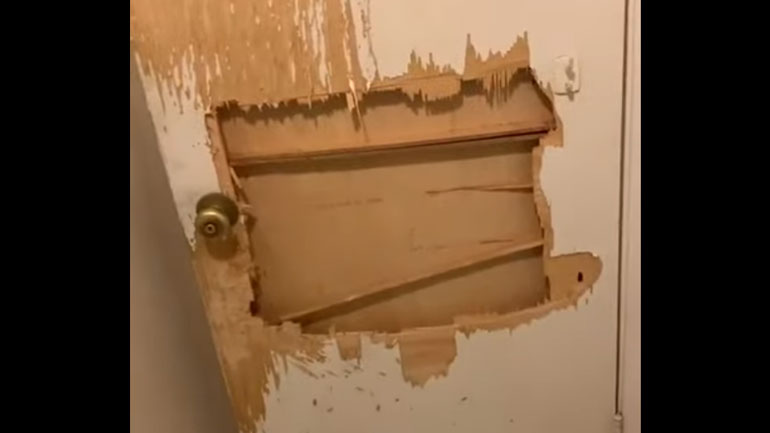 Σκύλος κλειδώθηκε κατά λάθος στο μπάνιο και ιδού το αποτέλεσμα