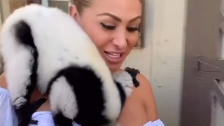 Λεμούριος «ερωτεύτηκε» μοντέλο του Playboy