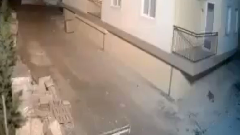 Η στιγμή που τα ζώα διαισθάνονται τον σεισμό