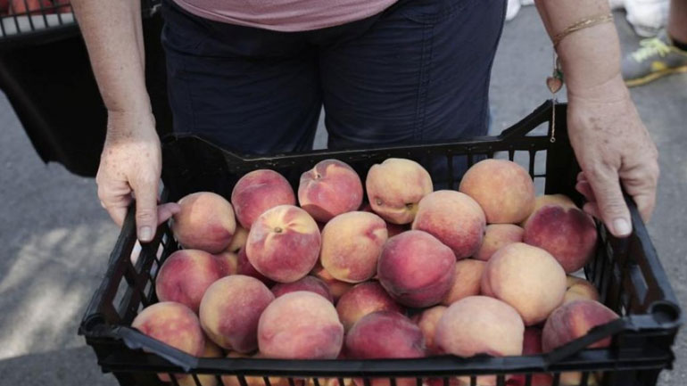 Μεγάλη ετήσια αύξηση στα σημαντικότερα εξαγόμενα ελληνικά προϊόντα στην Αίγυπτο