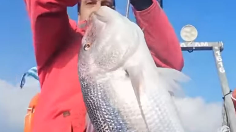 Λήμνος: Ψαράς έπιασε συναγρίδα 10 κιλών