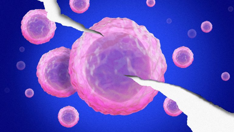 Οι άνθρωποι εξελίχθηκαν μαζί με ασθένειες του ανοσοποιητικού – και εξακολουθεί να συμβαίνει