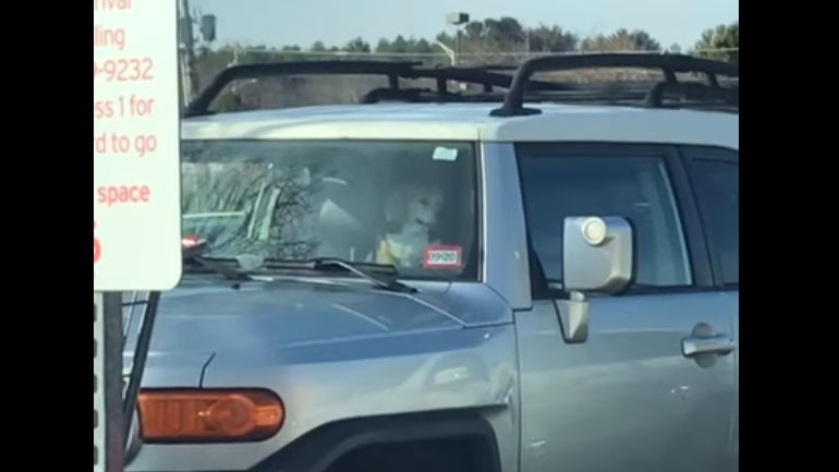 Ανυπόμονος σκύλος κορνάρει στο αφεντικό του