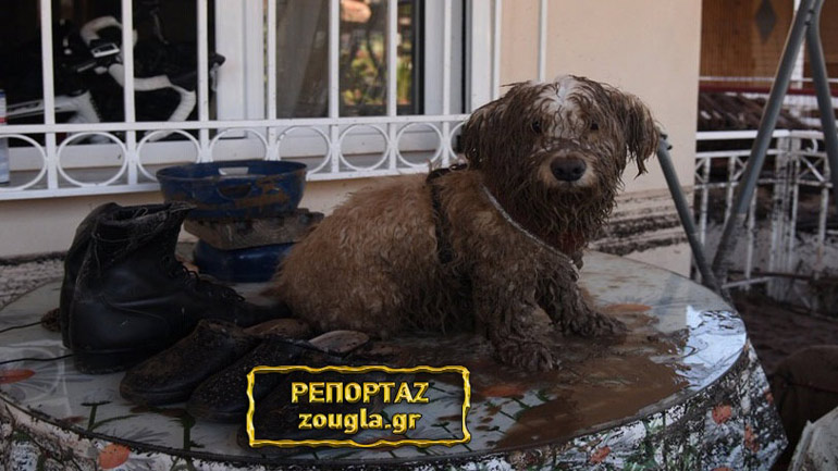 Η προδιαγεγραμμένη χαριστική βολή στην Κινέτα – Κάτοικοι εγκαταλείπουν τα σπίτια τους