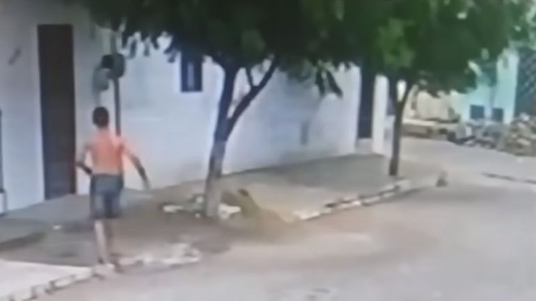 Άντρας σκαρφαλώνει σε δέντρο για να γλιτώσει από τη… γυναίκα του