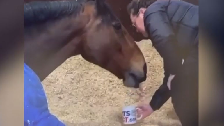 Βρετανία: Άλογο της αστυνομίας δεν ξεκινάει τη βάρδια του αν δεν πιει τσάι