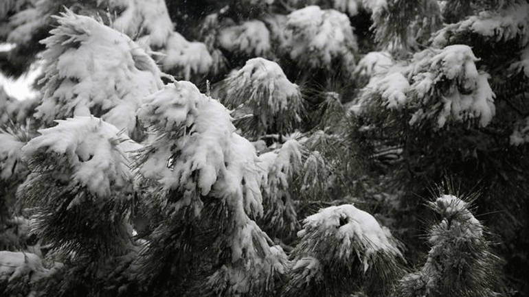 Αισθητή η πτώση της θερμοκρασίας – Στα «λευκά» το Νυμφαίο Φλώρινας