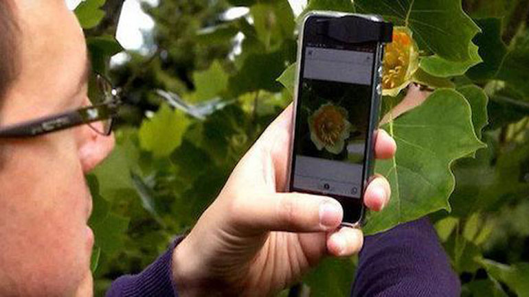Εφαρμογή για κινητά θα δείχνει ποιο αρωματικό φυτό μπορεί να ευδοκιμήσει ανάλογα με την περιοχή