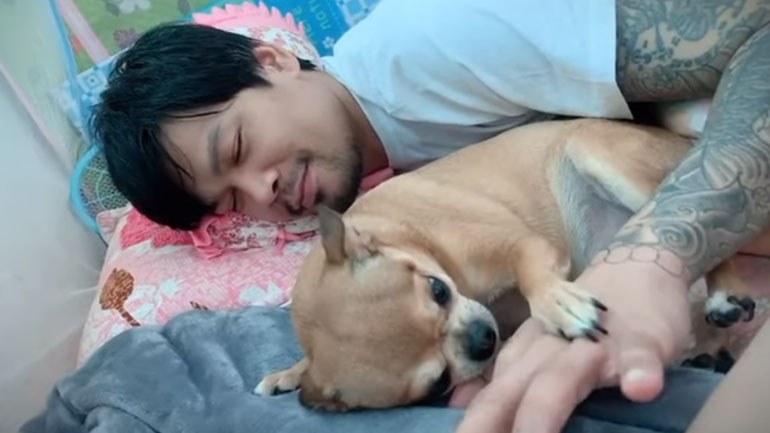 Τσιουάουα δαγκώνει το αφεντικό του κάθε φορά που χαϊδεύει τη γυναίκα του