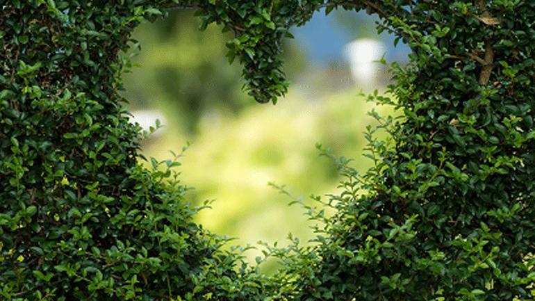 Τέσσερα Συστατικά της φύσης ευεργετικά για την καρδιά