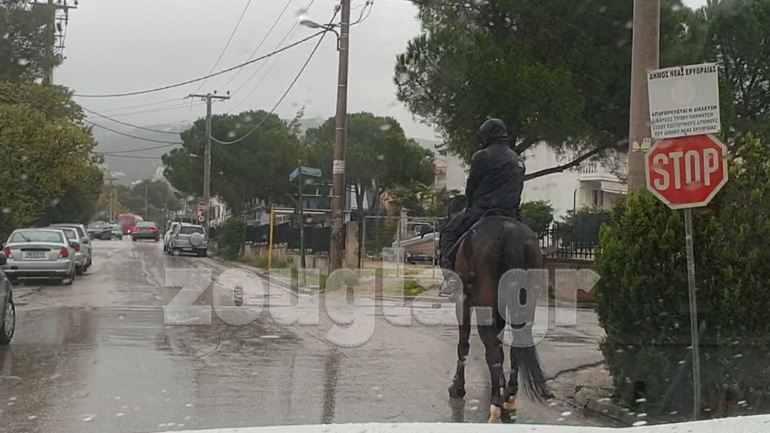 Απίστευτο: Έβγαλε το άλογο για βόλτα στην Κηφισιά…