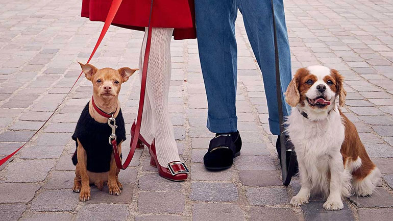 Το special film του οίκου Roger Vivier για τα Χριστούγεννα που θα σας κλέψει την καρδιά