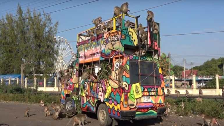 Ταϊλάνδη: Εκατοντάδες μαϊμούδες κάνουν… έφοδο σε φορτηγό τροφίμων