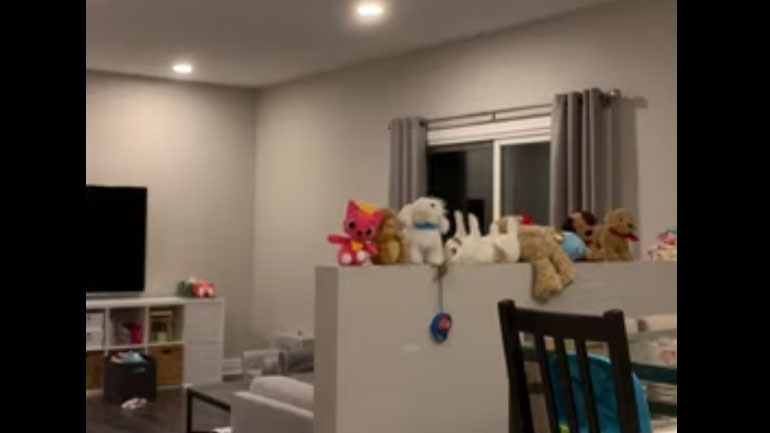 Ο Τζέιμς Μποντ των κουνελιών!