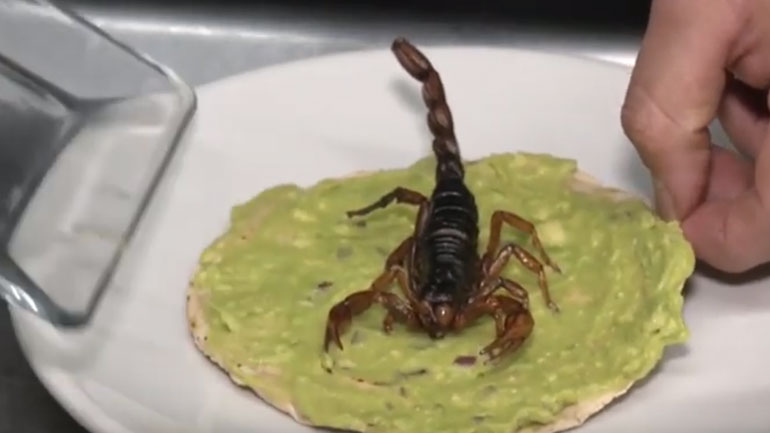Μεξικό: Γεύσεις για «γερά» στομάχια – Φτιάχνουν τάκος με σκορπιό