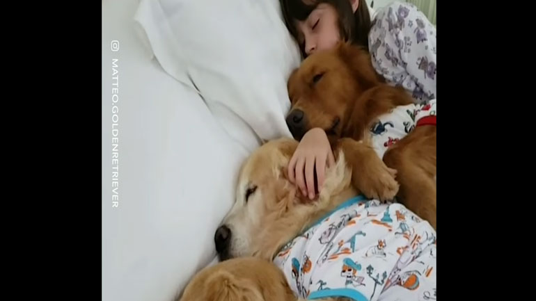 Το καλύτερο sleepover όλων των εποχών