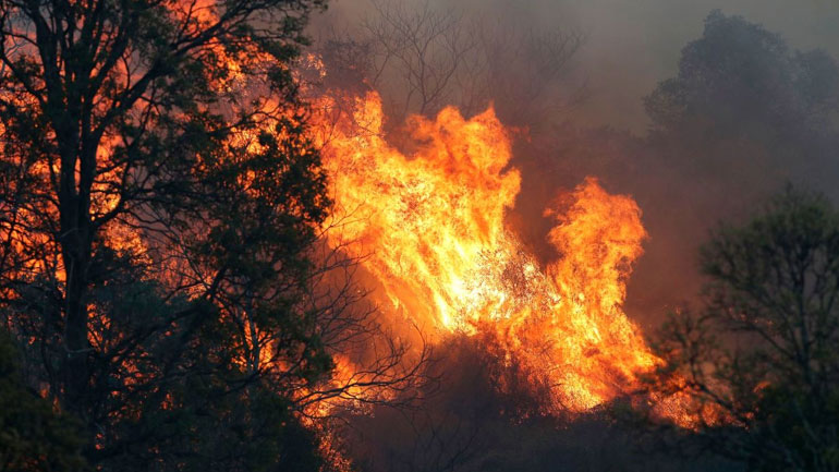 Αυστραλία: Τέσσερις νεκροί από τις φωτιές – Περίπου 150 τα μέτωπα πυρκαγιάς