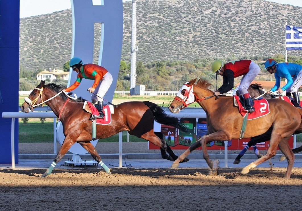 Μοναδικό θέαμα και δυνατές συγκινήσεις προσφέρουν οι ιπποδρομίες στο Markopoulo Park