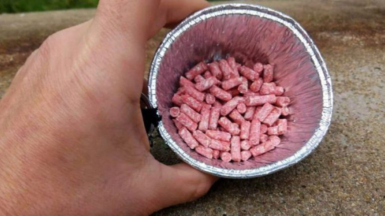 Ιεράπετρα: Αγρότης κινδύνεψε να χάσει τη ζωή του από… φόλες