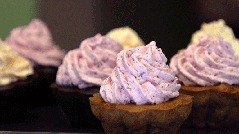 Dog Bakery: Ένας φούρνος με φρέσκο μαγειρευτό φαγητό για τα κατοικίδια