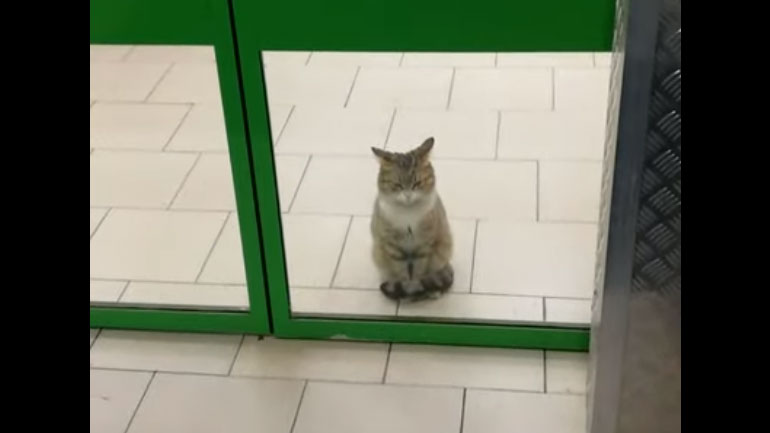 Το πιο «θερμό» καλωσόρισμα σε… σουπερμάρκετ