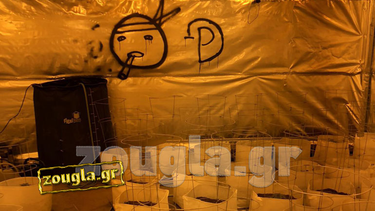 Τα ντοκουμέντα από την επιχείρηση του ΣΔΟΕ σε «εργοστάσιο» υδροπονικής κάνναβης στον Κουβαρά