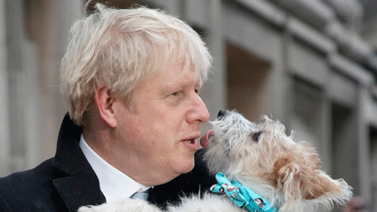 Μαζική προσέλευση… σκύλων στα εκλογικά κέντρα της Βρετανίας